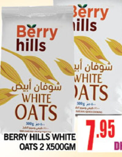 BERRY HILLS الشوفان  in المدينة in الإمارات العربية المتحدة , الامارات - دبي