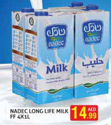 NADEC Long Life / UHT Milk  in Palm Hypermarket Muhaisina LLC in UAE - Dubai