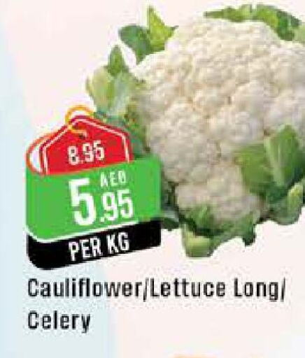  Celery  in West Zone Supermarket in UAE - Abu Dhabi