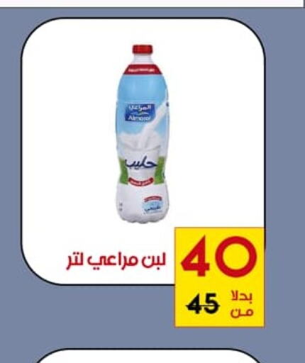 ALMARAI Laban  in ألبان المعراج in Egypt - القاهرة