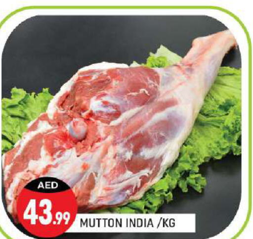  Mutton / Lamb  in Shaklan  in UAE - Dubai