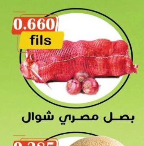  Onion  in جمعية خيطان التعاونية in الكويت - محافظة الأحمدي