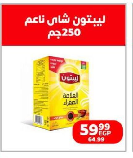 Lipton Tea Powder  in داون تاون العرب  in Egypt - القاهرة