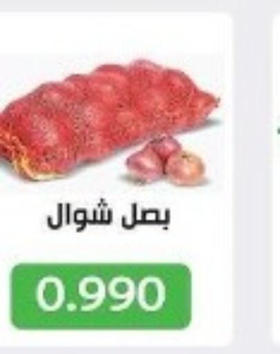  Onion  in جمعية جليب الشويخ التعاونية in الكويت - مدينة الكويت