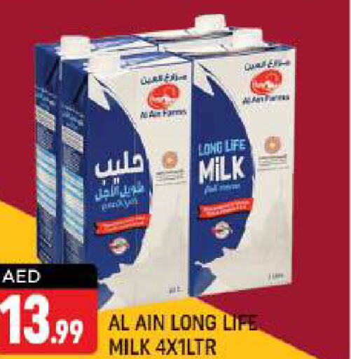 AL AIN Long Life / UHT Milk  in Shaklan  in UAE - Dubai