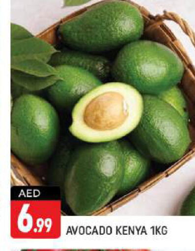  Avacado  in شكلان ماركت in الإمارات العربية المتحدة , الامارات - دبي