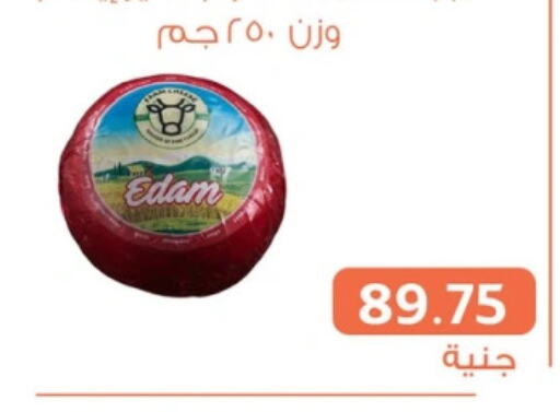 Edam