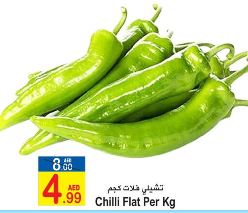  Chilli / Capsicum  in سن اند ساند هايبر ماركت ذ.م.م in الإمارات العربية المتحدة , الامارات - رَأْس ٱلْخَيْمَة