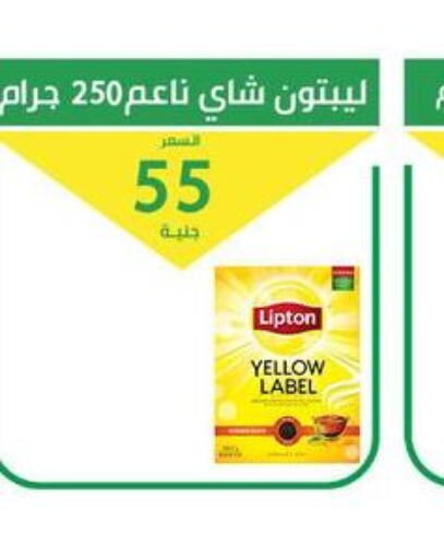 Lipton   in Elomda Market  in Egypt - Cairo