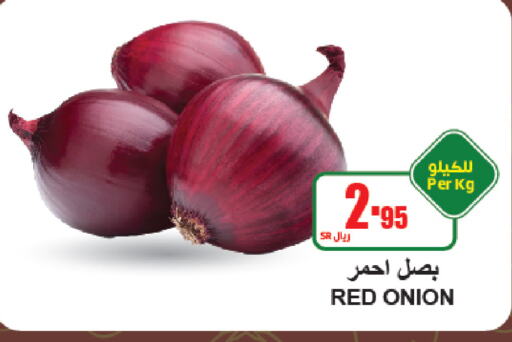  Onion  in A Market in KSA, Saudi Arabia, Saudi - Riyadh