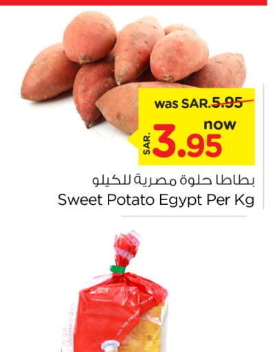  Sweet Potato  in Nesto in KSA, Saudi Arabia, Saudi - Al Majmaah