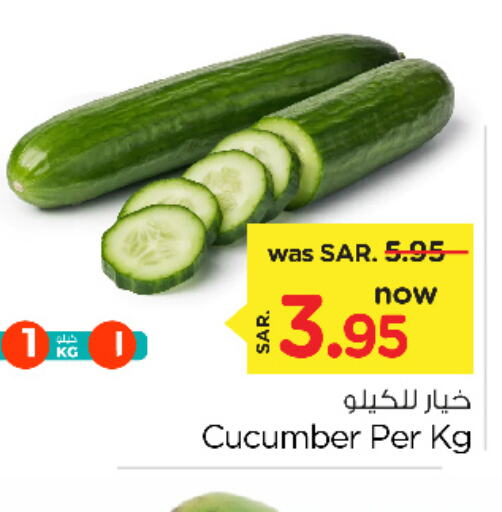  Cucumber  in نستو in مملكة العربية السعودية, السعودية, سعودية - المنطقة الشرقية