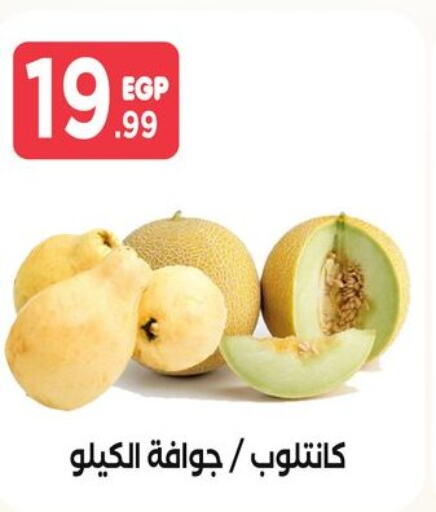  Guava  in المحلاوي ستورز in Egypt - القاهرة