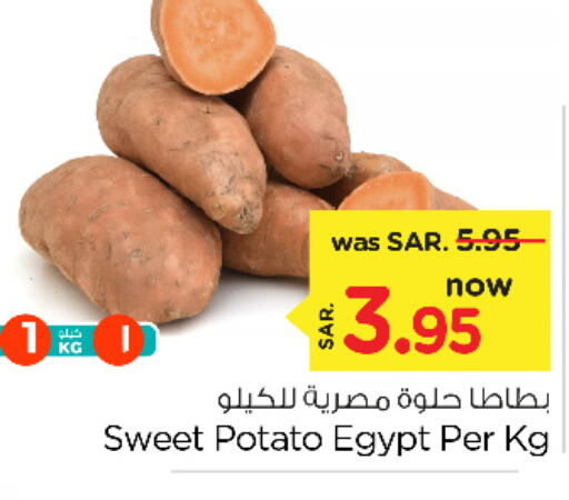  Sweet Potato  in نستو in مملكة العربية السعودية, السعودية, سعودية - الأحساء‎