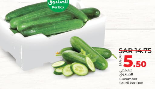  Cucumber  in لولو هايبرماركت in مملكة العربية السعودية, السعودية, سعودية - المنطقة الشرقية