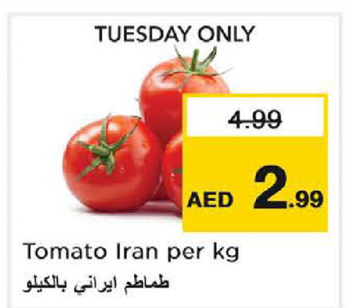  Tomato  in نستو هايبرماركت in الإمارات العربية المتحدة , الامارات - دبي