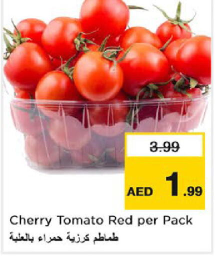  Tomato  in لاست تشانس in الإمارات العربية المتحدة , الامارات - ٱلْفُجَيْرَة‎