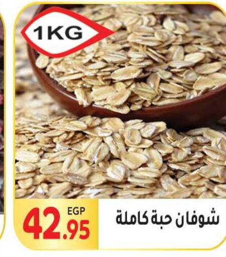 Oats