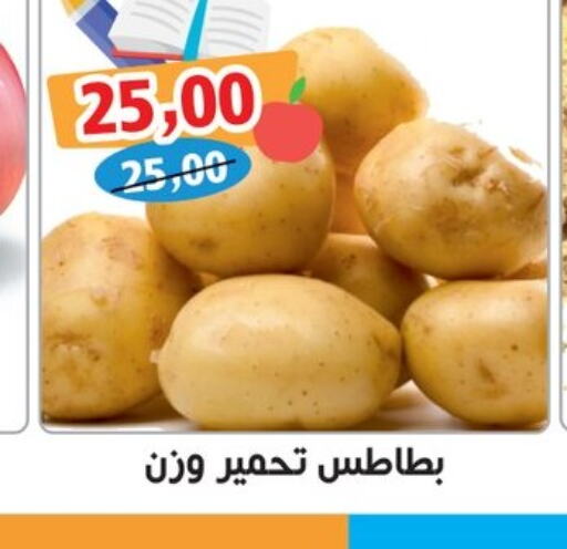  Potato  in أولاد حسان in Egypt - القاهرة