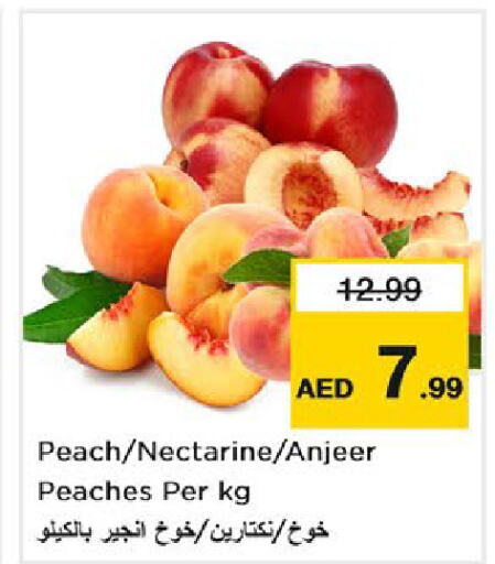  Peach  in لاست تشانس in الإمارات العربية المتحدة , الامارات - ٱلْفُجَيْرَة‎