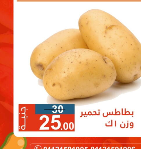  Potato  in أولاد حسان in Egypt - القاهرة