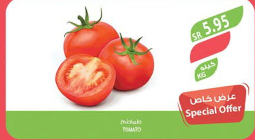 Tomato