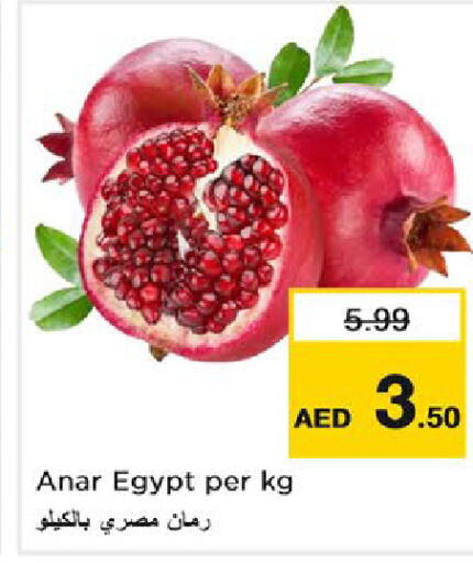  Pomegranate  in لاست تشانس in الإمارات العربية المتحدة , الامارات - ٱلْفُجَيْرَة‎