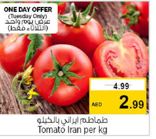  Tomato  in نستو هايبرماركت in الإمارات العربية المتحدة , الامارات - دبي