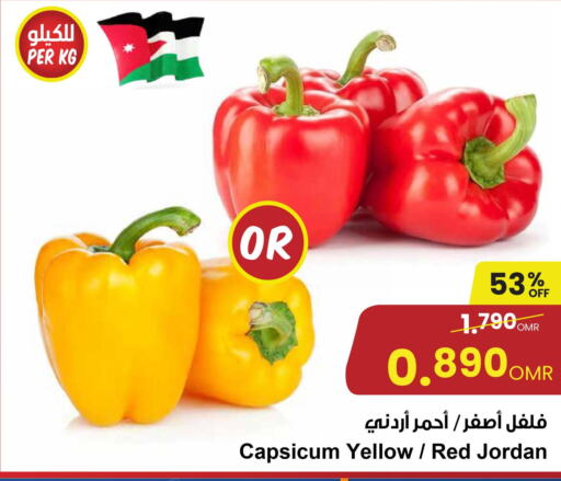  Chilli / Capsicum  in مركز سلطان in عُمان - صلالة