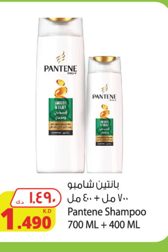 PANTENE Shampoo / Conditioner  in شركة المنتجات الزراعية الغذائية in الكويت - محافظة الجهراء