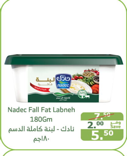 NADEC Labneh  in Al Raya in KSA, Saudi Arabia, Saudi - Jeddah