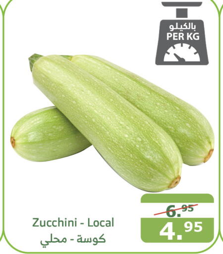 Zucchini