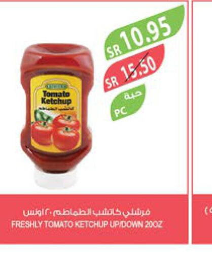 FRESHLY Tomato Ketchup  in Farm  in KSA, Saudi Arabia, Saudi - Saihat