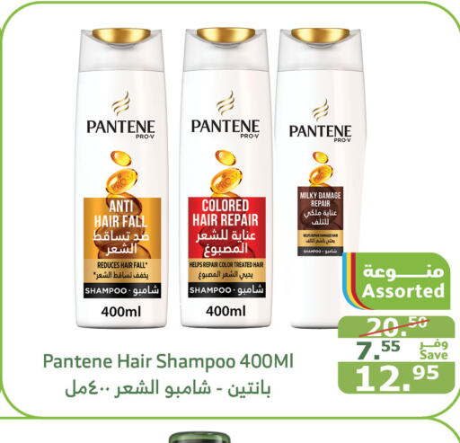 PANTENE Shampoo / Conditioner  in Al Raya in KSA, Saudi Arabia, Saudi - Jeddah