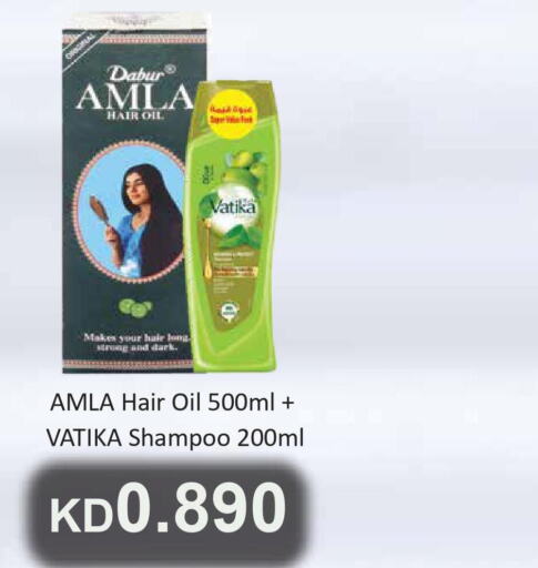 VATIKA Shampoo / Conditioner  in Grand Hyper in Kuwait - Kuwait City