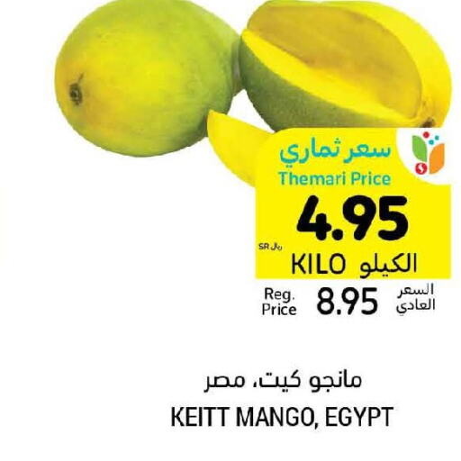 Mango Mango  in Tamimi Market in KSA, Saudi Arabia, Saudi - Jeddah