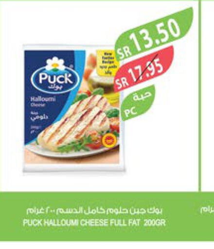 PUCK Halloumi  in Farm  in KSA, Saudi Arabia, Saudi - Al Hasa