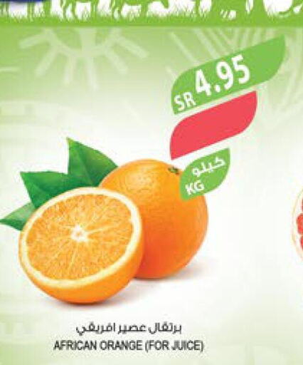  Orange  in Farm  in KSA, Saudi Arabia, Saudi - Jeddah