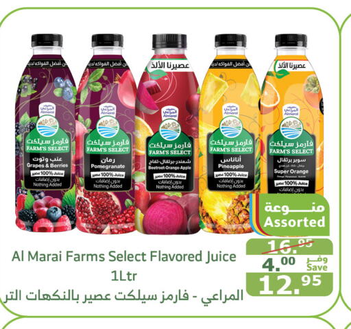 ALMARAI   in Al Raya in KSA, Saudi Arabia, Saudi - Al Qunfudhah