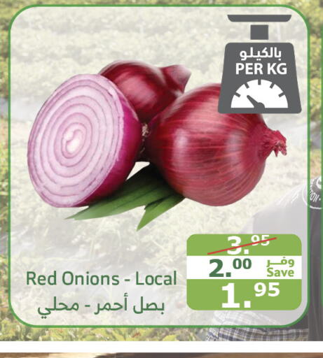 Onion