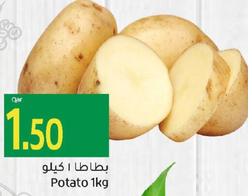  Potato  in Gulf Food Center in Qatar - Al Shamal