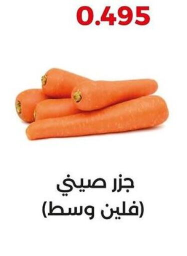 Carrot