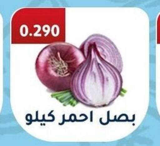  Onion  in جمعية فحيحيل التعاونية in الكويت - محافظة الجهراء