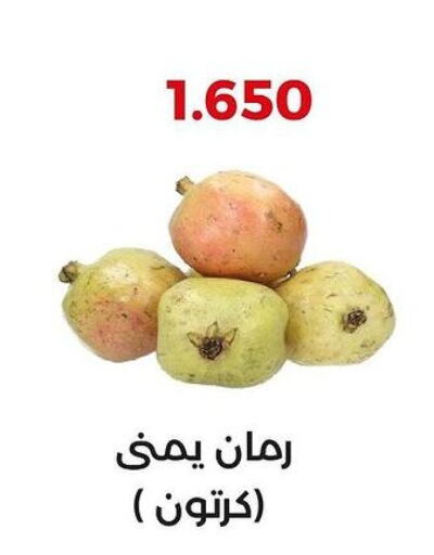  Pomegranate  in جمعية العديلة التعاونية in الكويت - مدينة الكويت