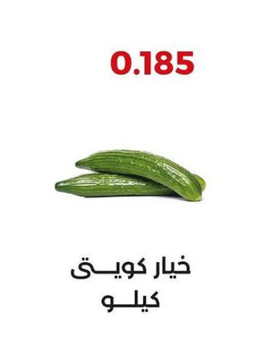  Cucumber  in جمعية العديلة التعاونية in الكويت - محافظة الأحمدي