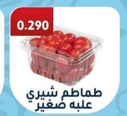  Tomato  in جمعية فحيحيل التعاونية in الكويت - محافظة الجهراء