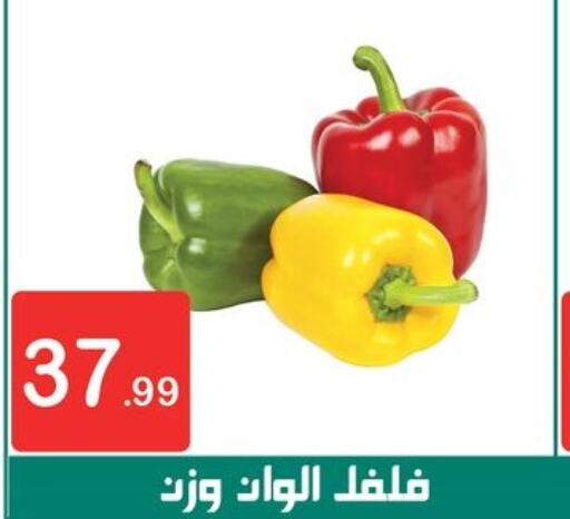  Chilli / Capsicum  in سوق البجعة in Egypt - القاهرة