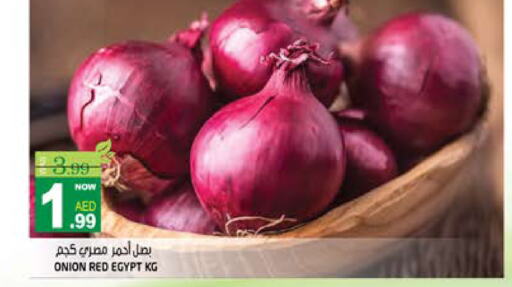  Onion  in هاشم هايبرماركت in الإمارات العربية المتحدة , الامارات - الشارقة / عجمان