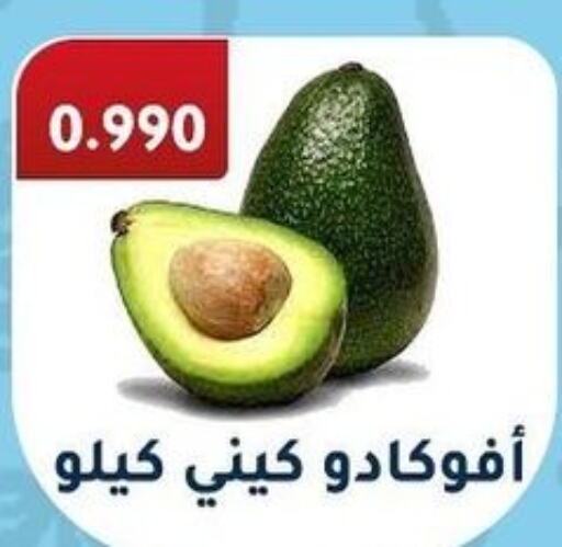  Avacado  in جمعية فحيحيل التعاونية in الكويت - محافظة الجهراء