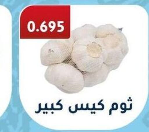  Garlic  in جمعية فحيحيل التعاونية in الكويت - محافظة الجهراء